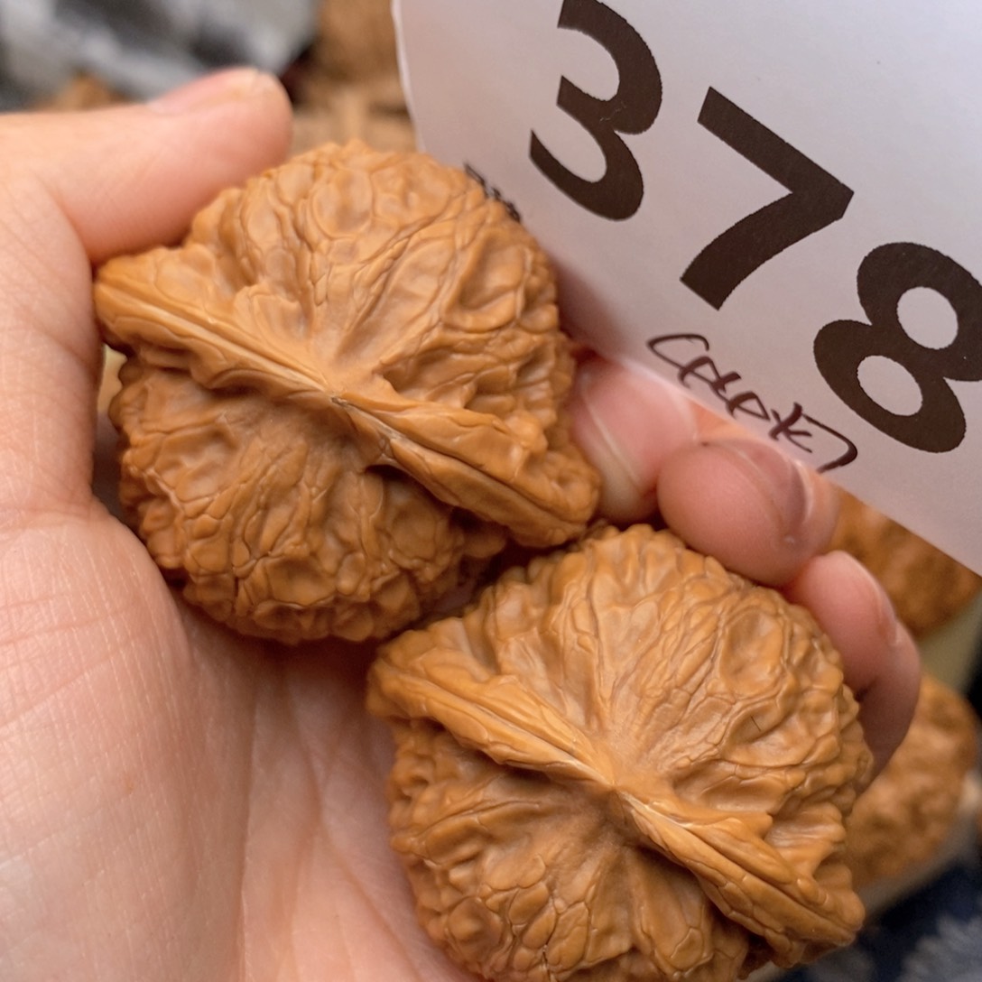 文玩核桃把件378号44灯