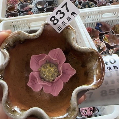 瓷片柴烧柴烧柴烧837