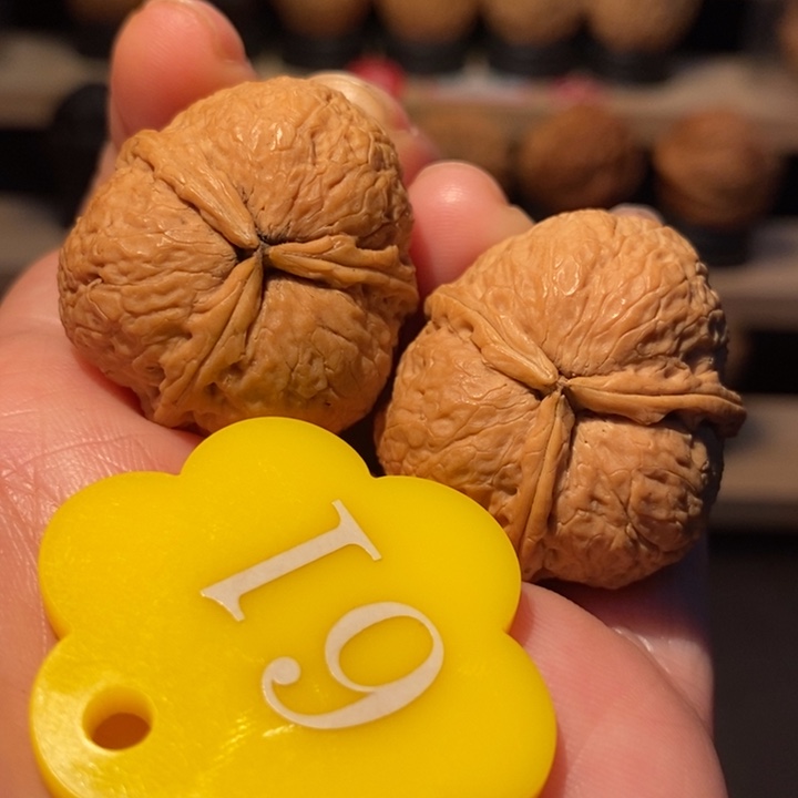 木质类富贵三棱31尺寸