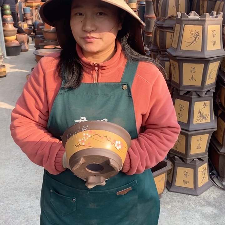 紫砂花盆盆栽花卉苗木种植