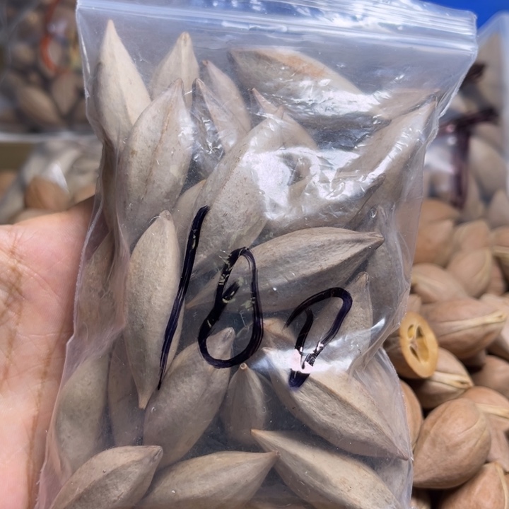 手串/手链橄榄核1111