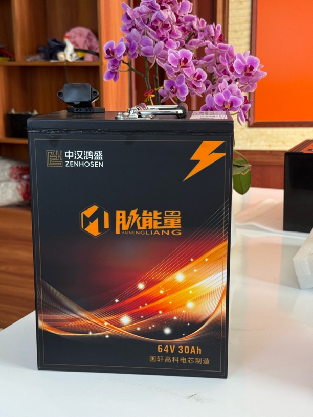 64V 30AH磷酸铁锂两轮三轮车电动车锂电池续航升级三年质保