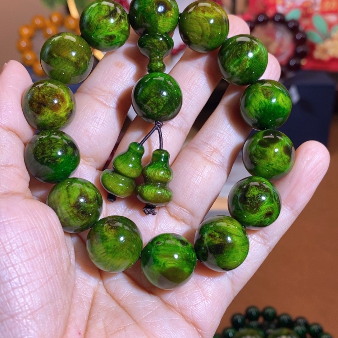 贝壳杉1.5千年绿色天花板