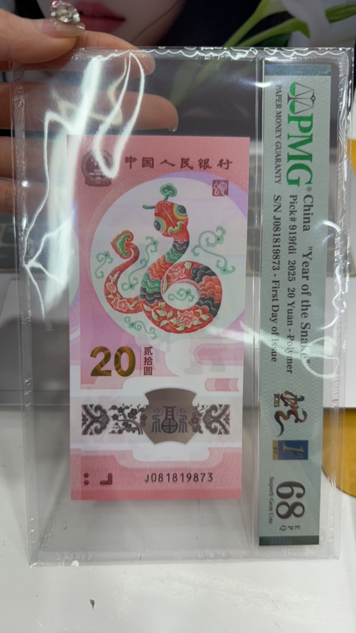 蛇年纪念钞081819873