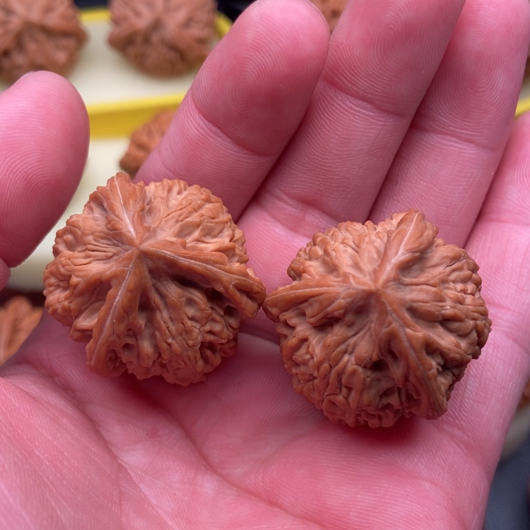 文玩核桃把件全品三棱32