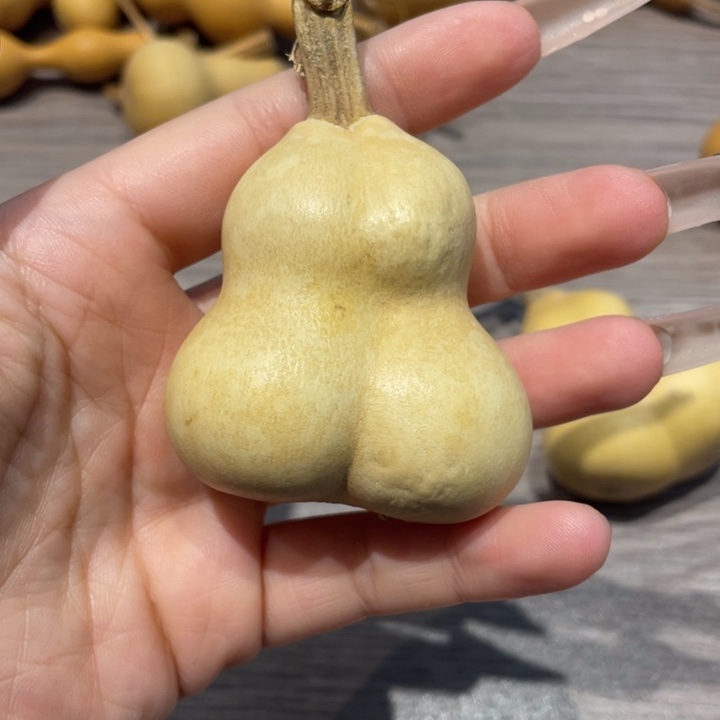 一***忆连体葫芦连体葫芦