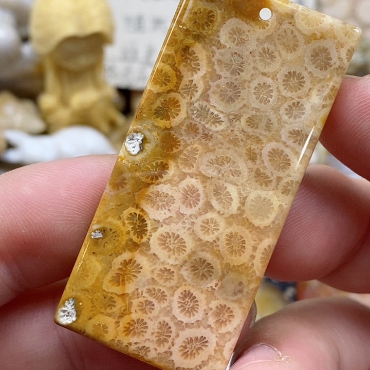 颈饰未镶嵌硅化珊瑚（珊瑚玉）有瑕