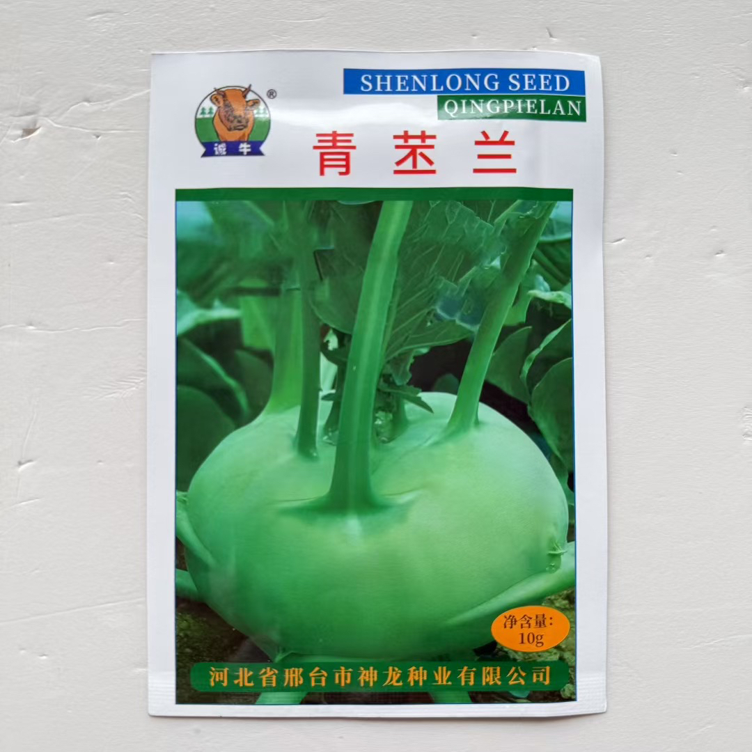 春秋季可种青苤蓝种子水果苤蓝种芥蓝球茎甘蓝籽