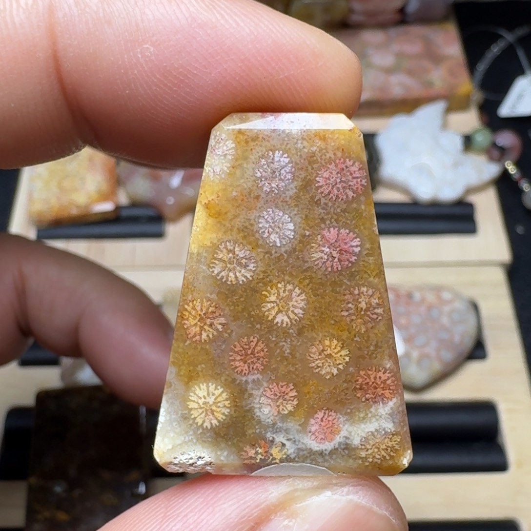 未镶嵌纯天然色有机玉石保真色硅化玉