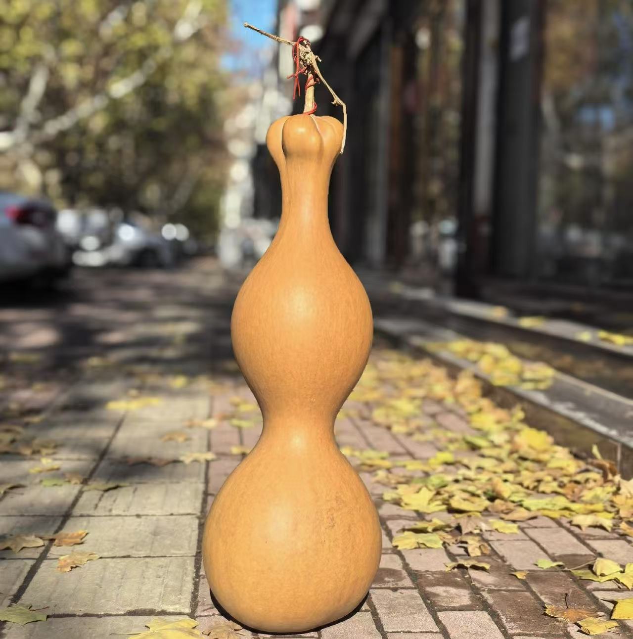 特大葫芦摆件 文玩葫芦福禄摆件 葫芦文玩手把件 快递不包邮