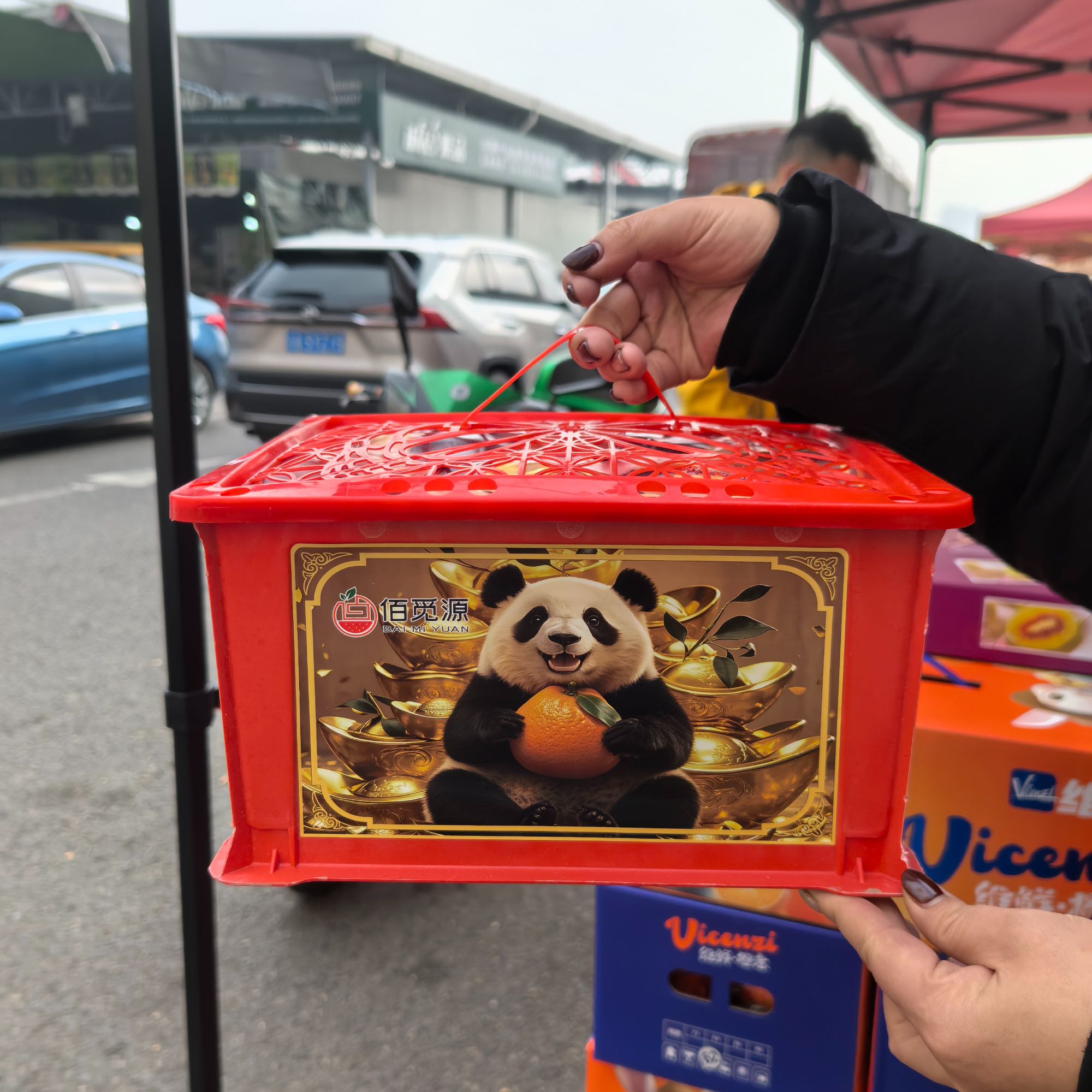耙耙柑净重5斤    