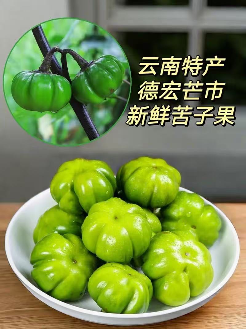 云南德宏芒市@大苦子