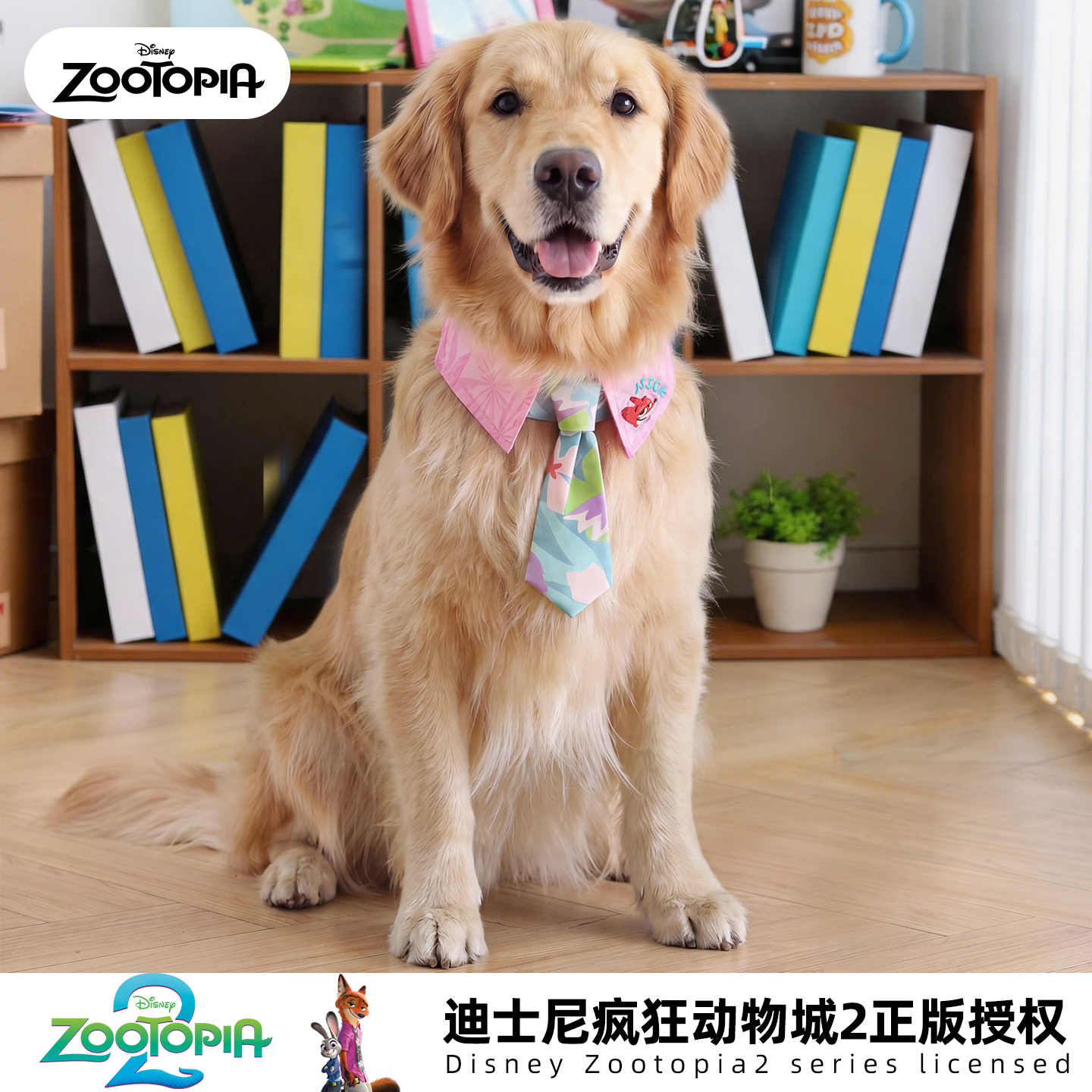 迪士尼疯狂动物城系列尼克狐项圈宠物领结大狗领结项圈狗狗口水巾