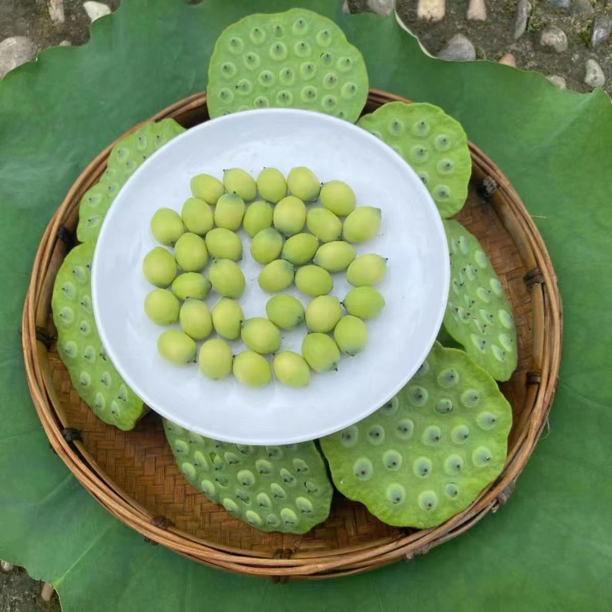 新鲜现摘莲蓬甜嫩莲子米生吃去芯 煮粥煲汤