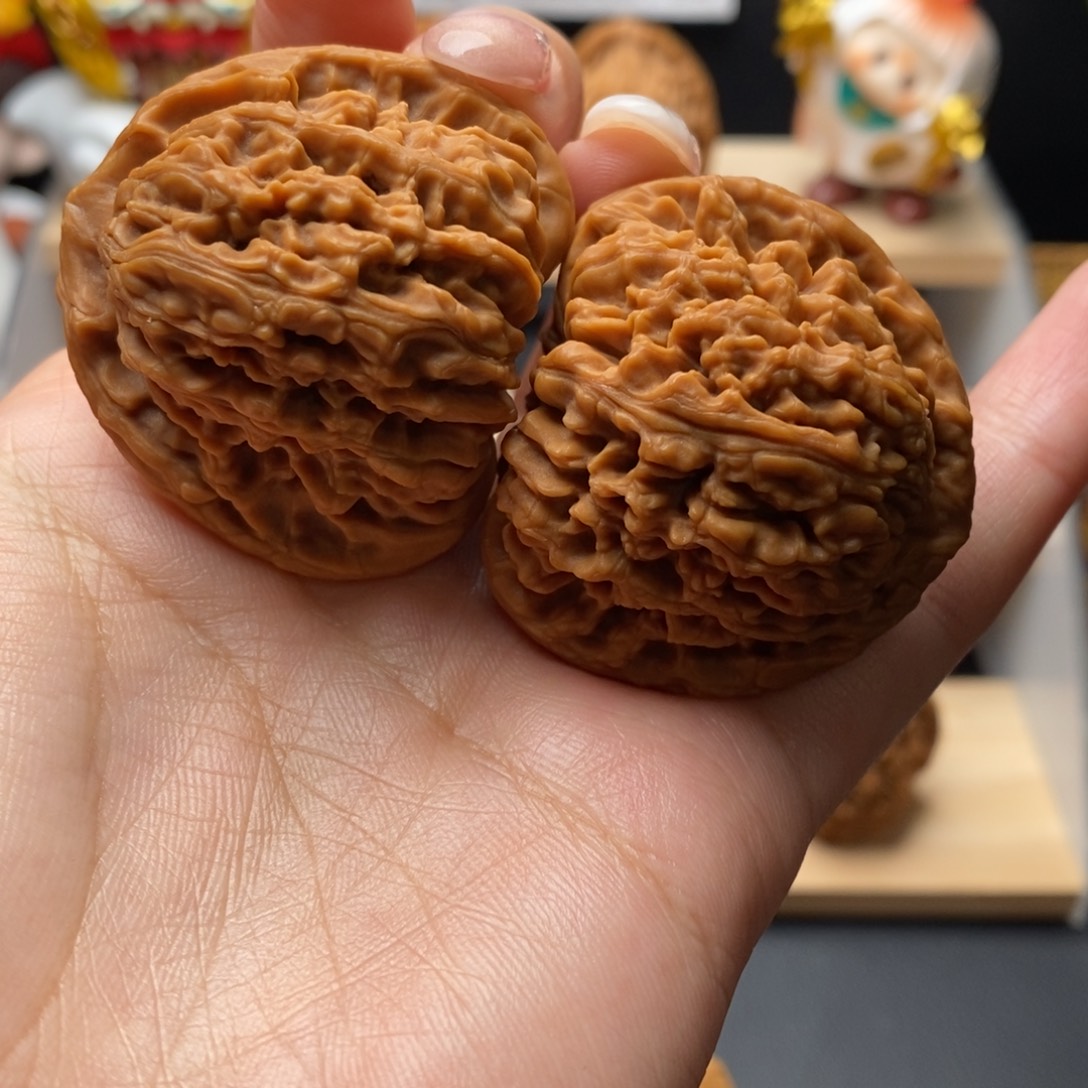 42.5.40.38大尺凹底三角 涿鹿老树一代全品