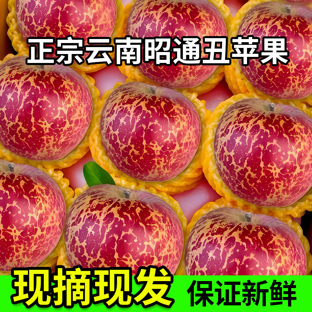 现摘现发云南昭通冰糖心孕妇水果5/10斤应季新鲜云南昭通丑苹果