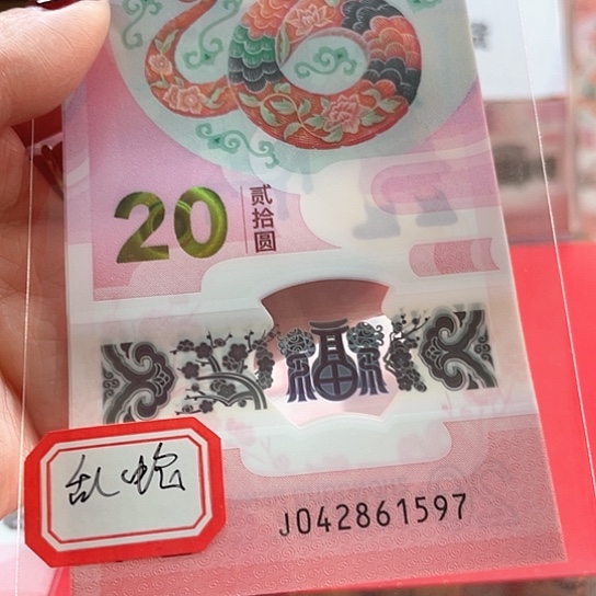 塑料小蛇钞042861597 乱蛇