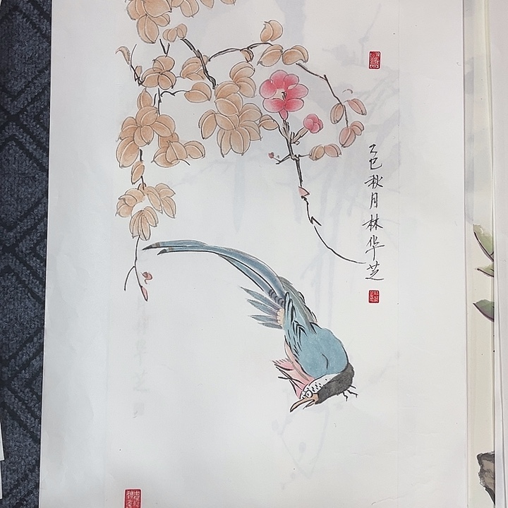 国画四尺四开花鸟m