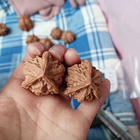 喜****山乡下↓下了一个星期六星期天