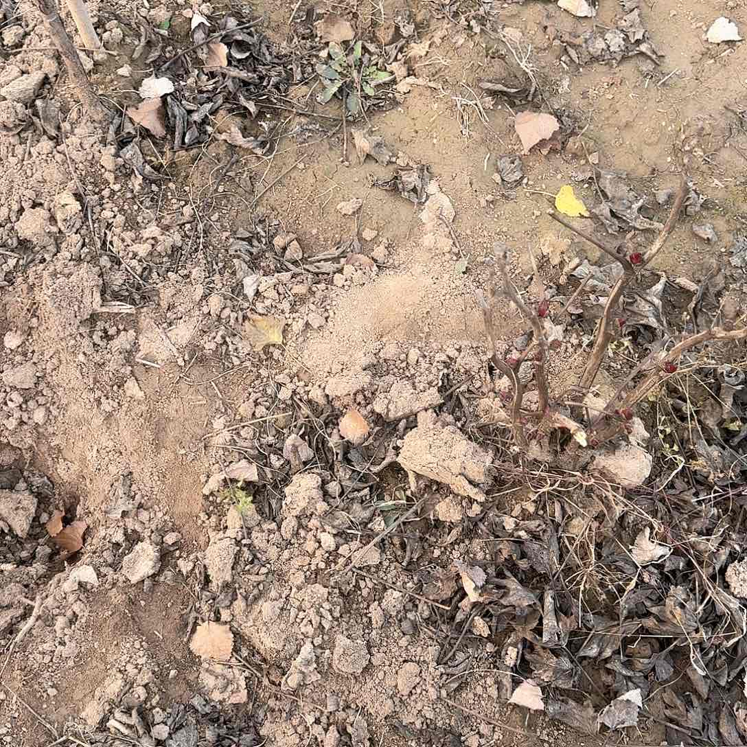 完全开放1111111111