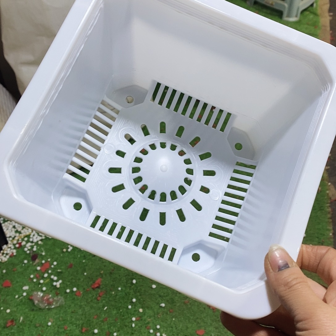 塑料新22公分白方盆6个 