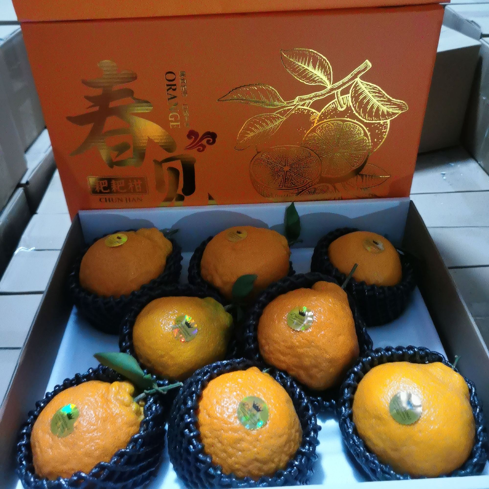 【精品礼盒】耙耙柑  大果 净果（5.5±2）【顺丰包邮今天拍明天到】