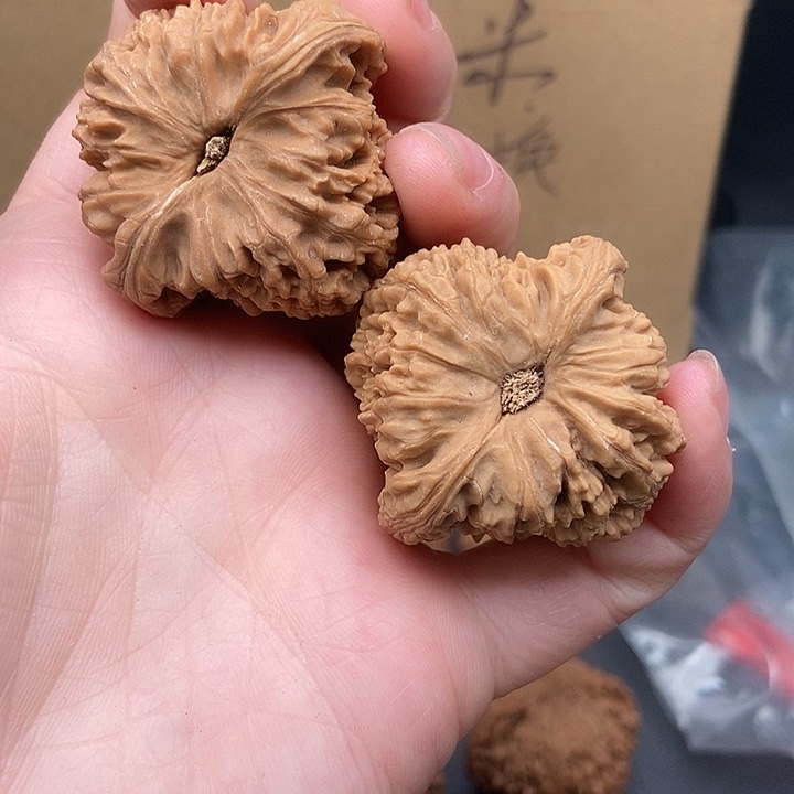 小***了大大大大大大南疆有黄