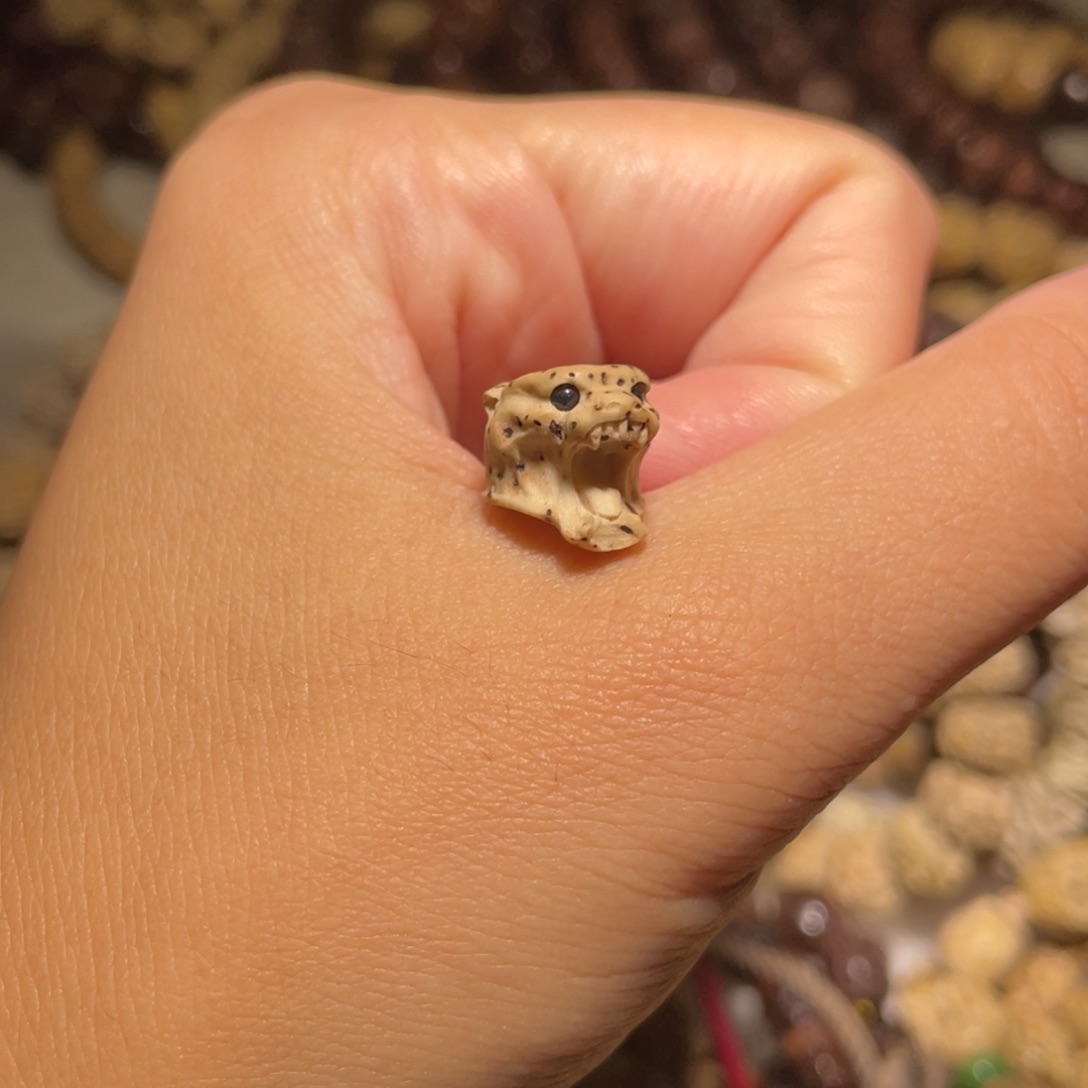 星月菩提吊坠一物一图虎头11➕大尺寸