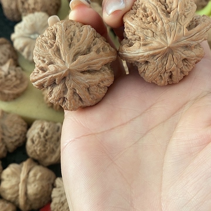 43大粗筋无修无修无修