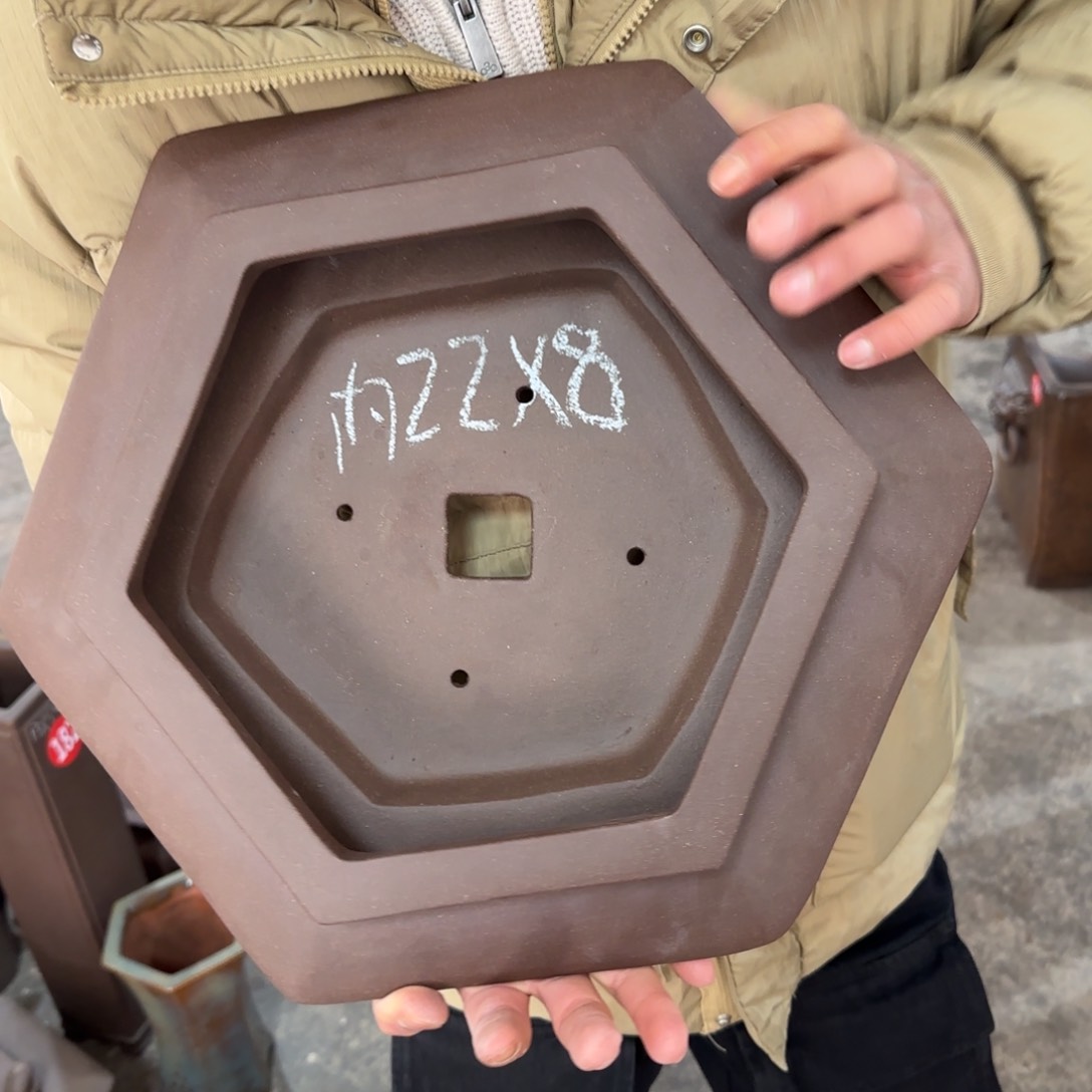 紫砂花盆呜呜呜呜