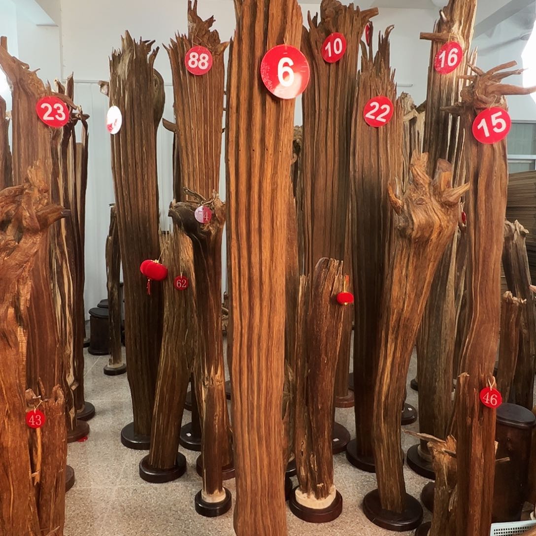 舵***手沉香摆件沉香原料H