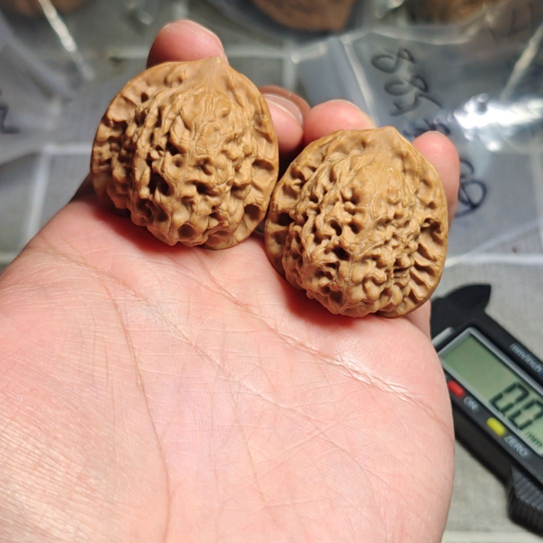 全品白茬36+玉观音核桃