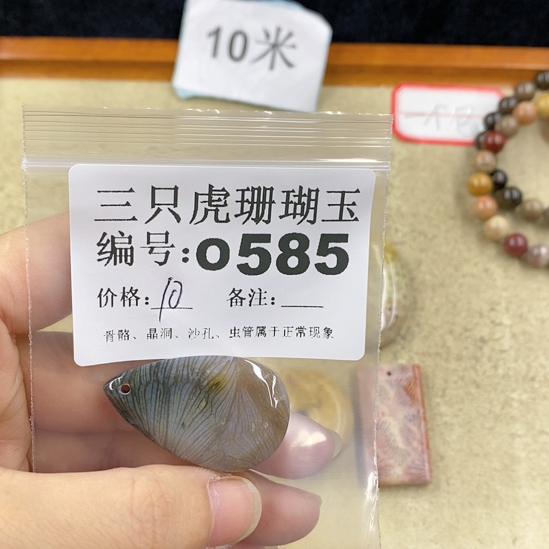 硅化珊瑚（珊瑚玉）1未镶嵌B****兽