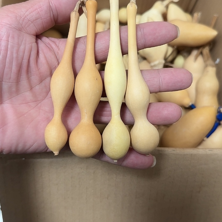 蚂蚁杆子喜欢下单