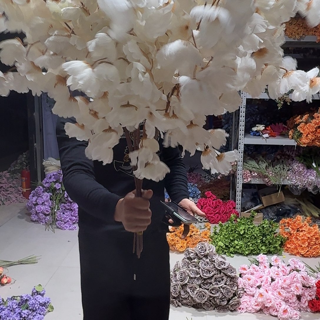 白色灯笼果10支装