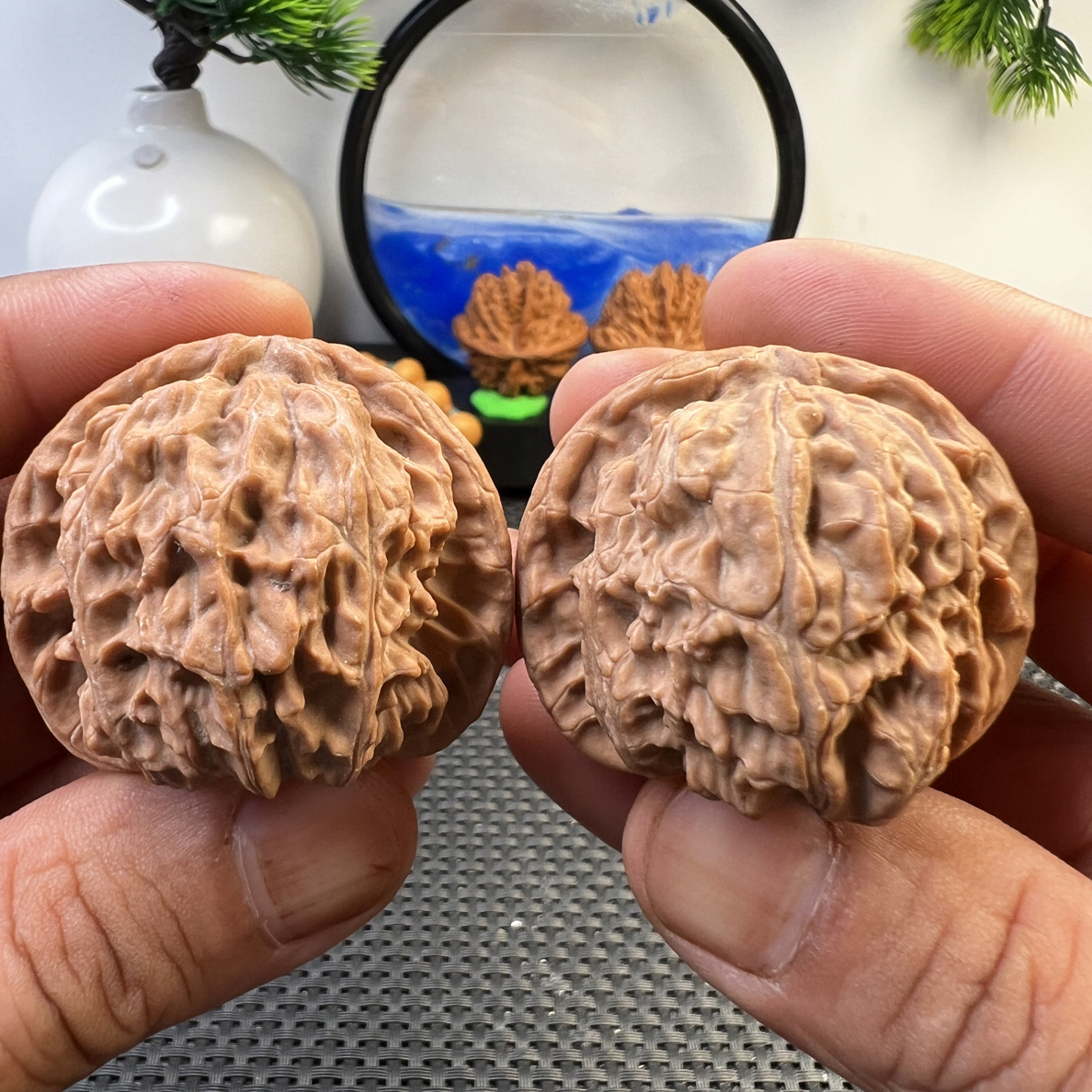 文玩核桃全品白狮子42尺寸