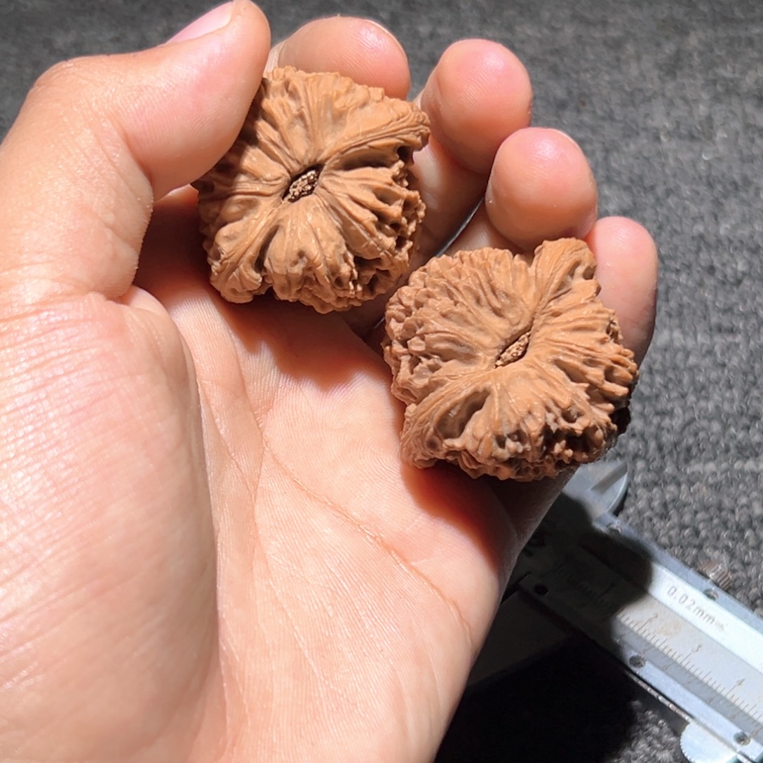 文玩核桃吊坠南疆8