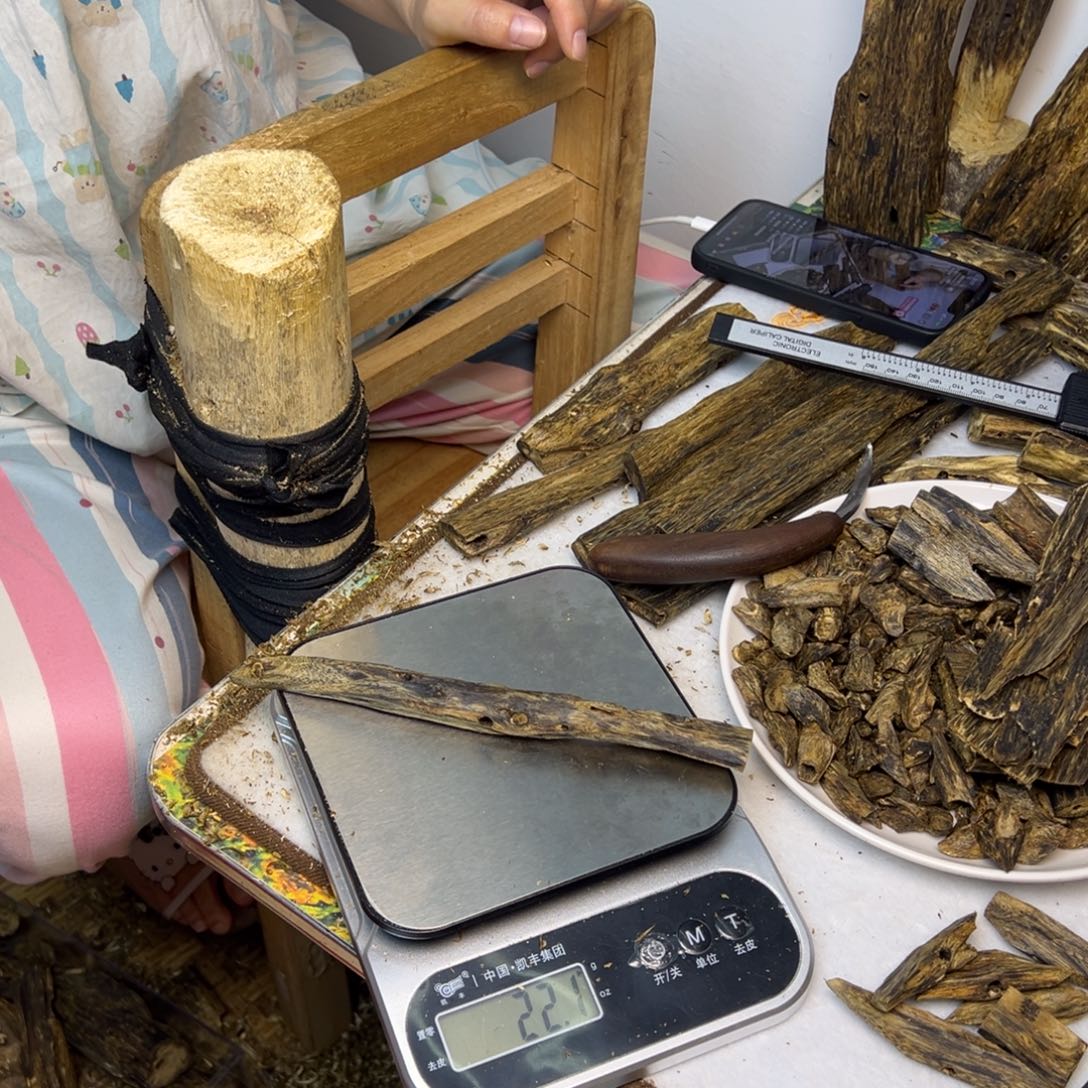 线香奇楠虫漏香22克