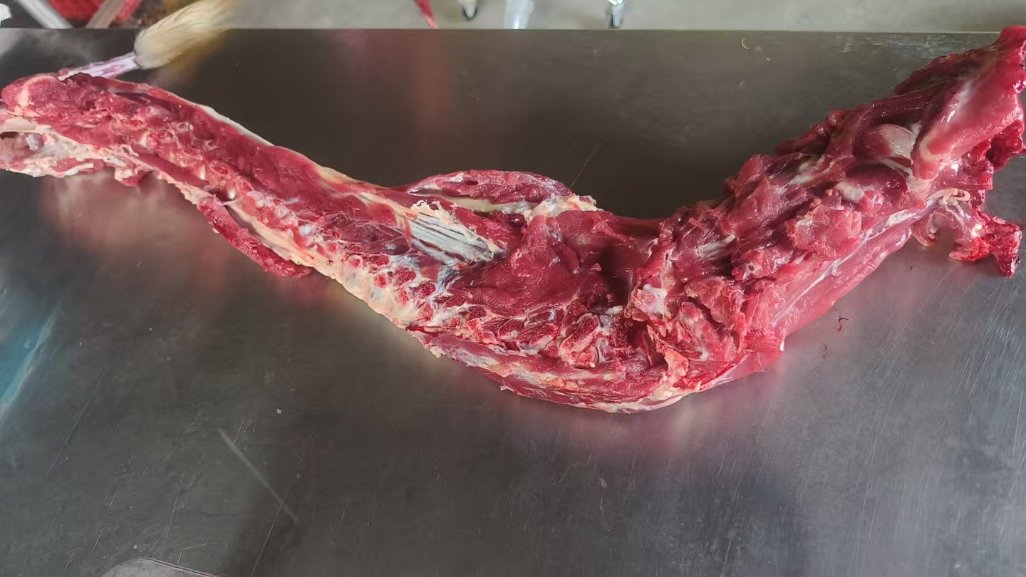 羊蝎子，小山羊羊蝎子。现场称重改价链接。分割不退，坏单包赔。