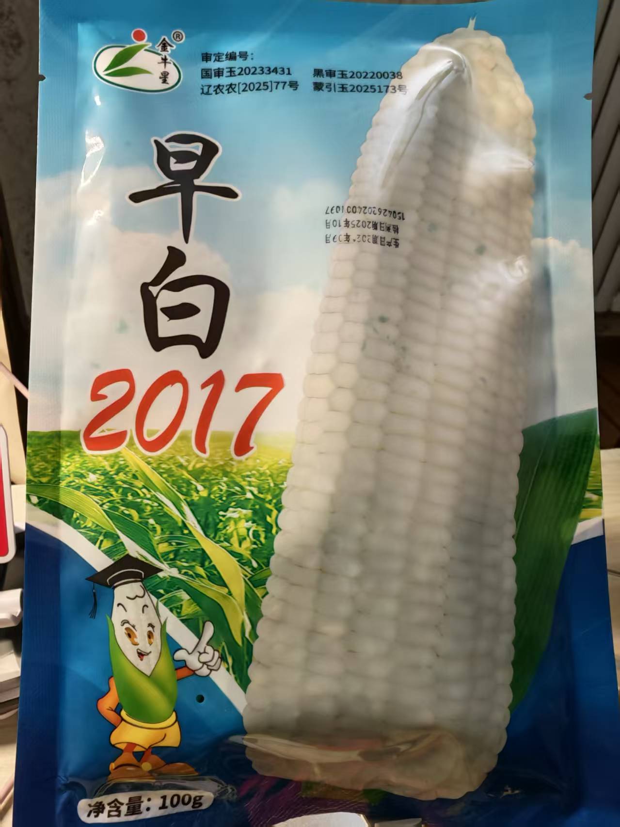 早白207种子 100g/袋