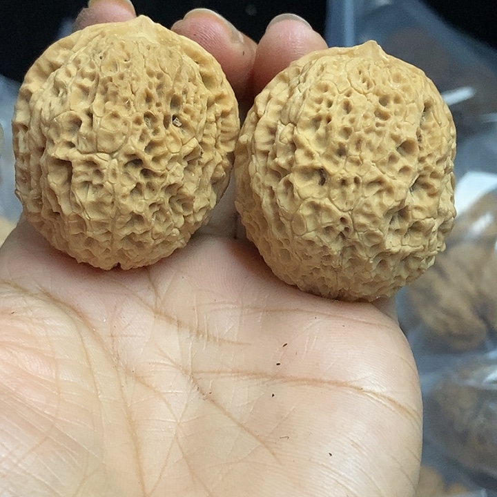 文玩核桃把件云南铁核桃基地88