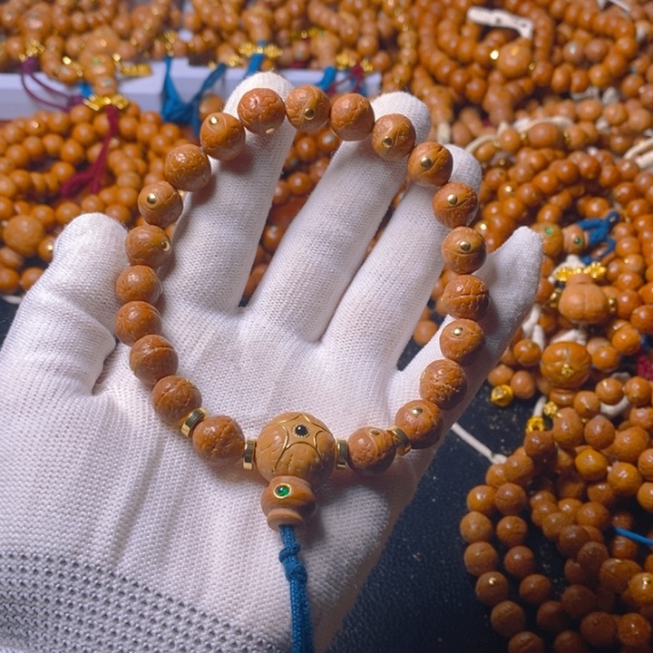 张尼泊尔凤眼菩提树籽