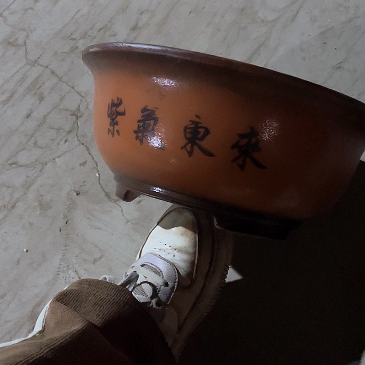 紫砂31小红花盆花盆花盆