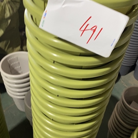 编号491特价6个无托