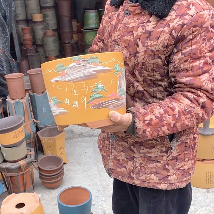 紫砂花盆盆栽花卉苗木种植