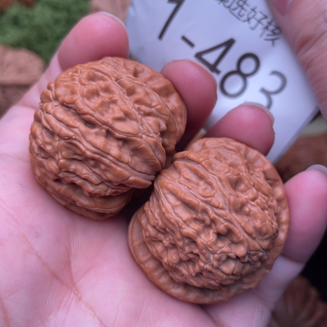 文玩核桃把件白狮子37