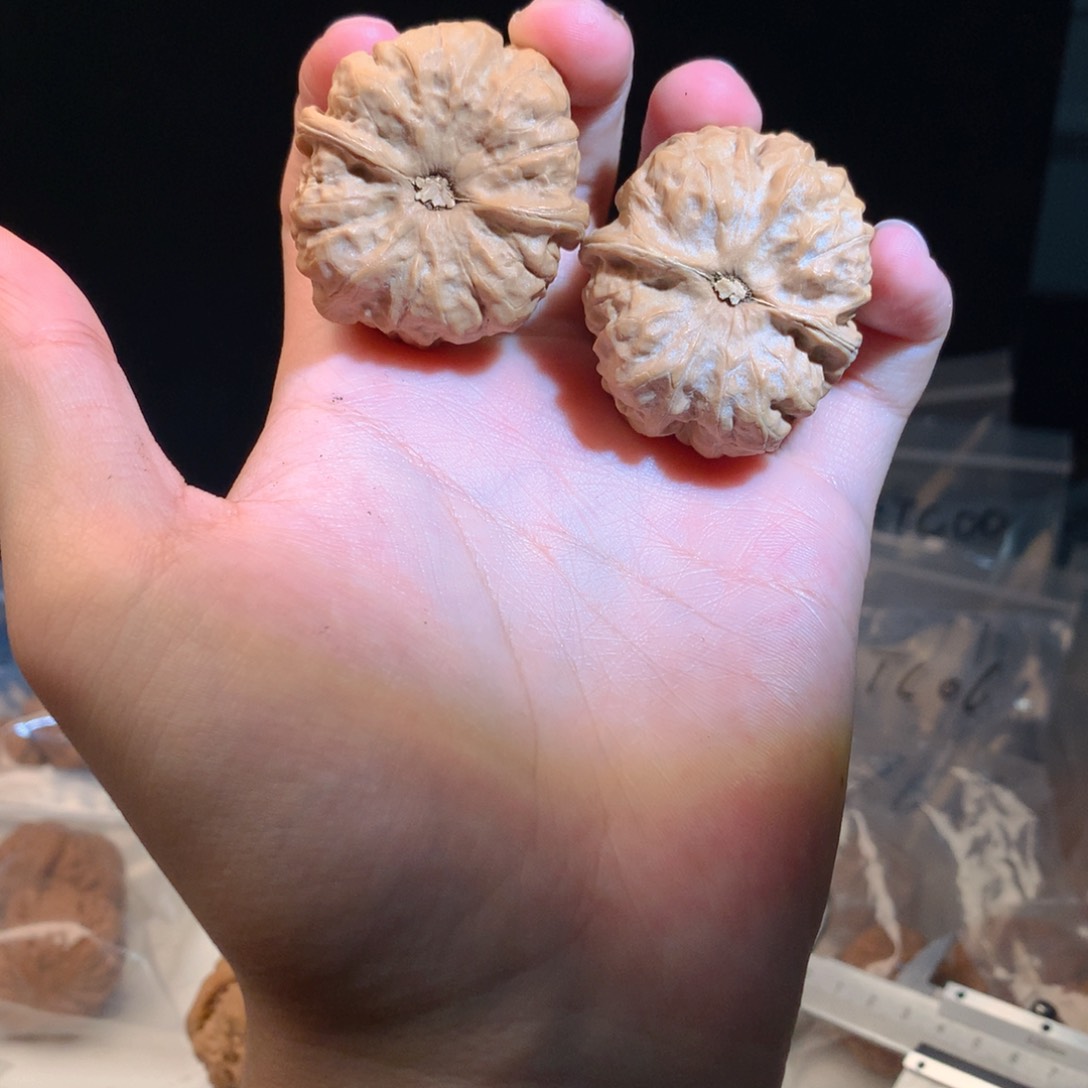 文玩核桃吊坠37尺全品怀柔蛤蟆9号