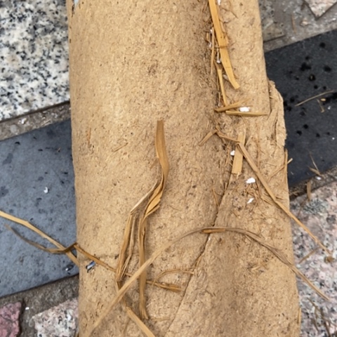 千**外z c z c x c x c c x