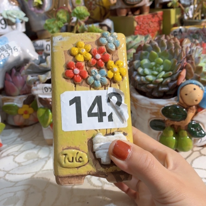 多肉花盆满15包邮，爱退款拉黑