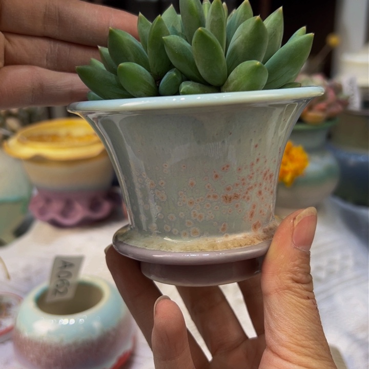 景德镇陶瓷研究所